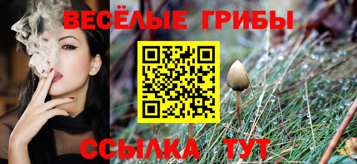 Галлюциногенные грибы Psilocybe Верхняя Салда